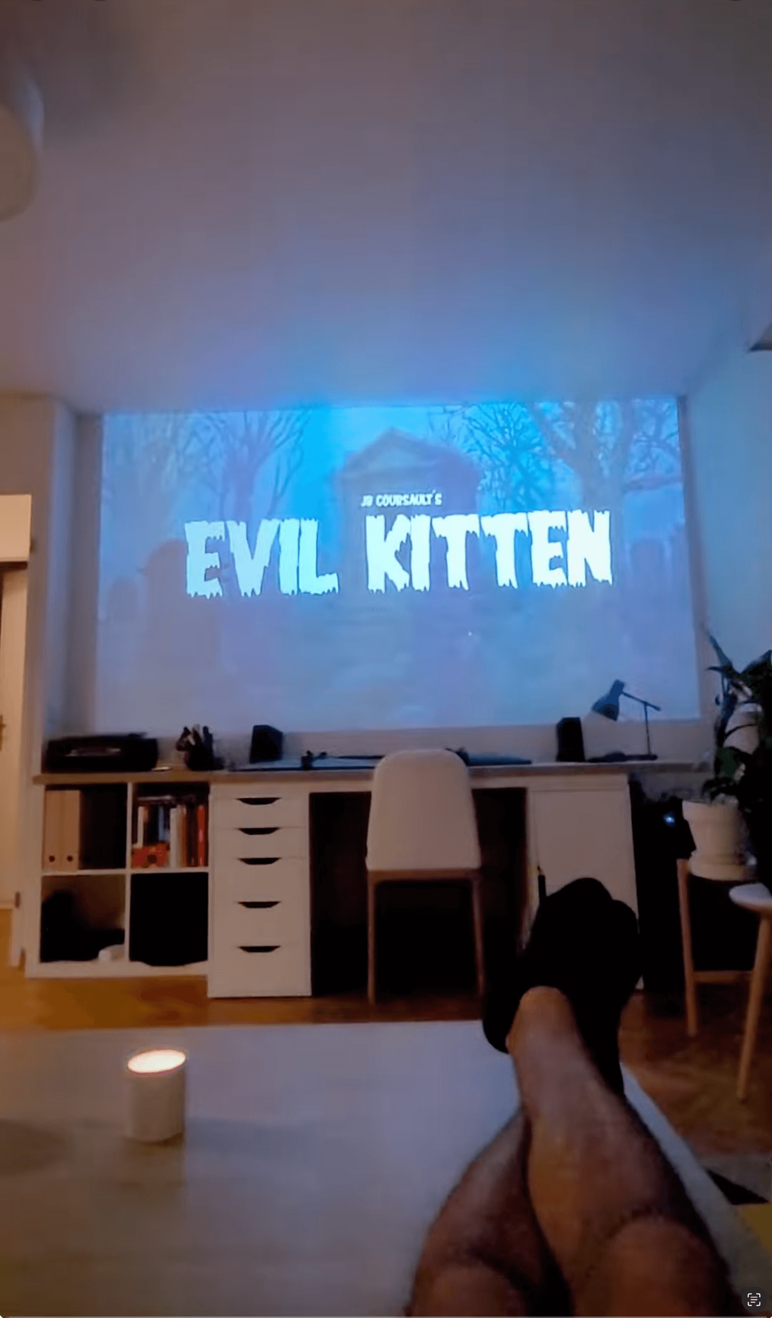 Evil Kitten
